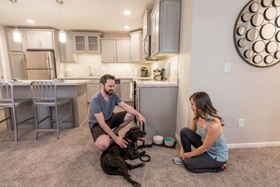 Pine Lane Estates Apartments Near Eastwood Pet Friendly Apartments